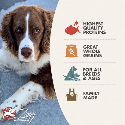 Fromm Four-Star Nutritionals Trout & Whitefish Dog Food - Premium Dry Dog Food - Trout Recipe - 4 lb