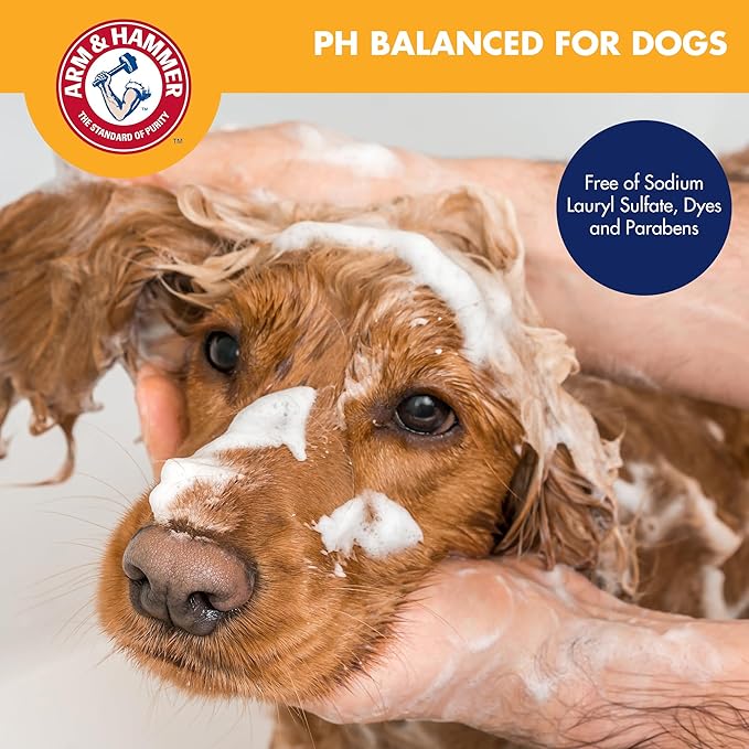 Arm & Hammer for Pets Odor Control Pet No-Rinse Foam with Baking Soda, Kiwi Blossom Scent, Best Odor Eliminating Foam for Dogs and Puppies; Waterless Dog Deodorizer, 16 Fl Oz