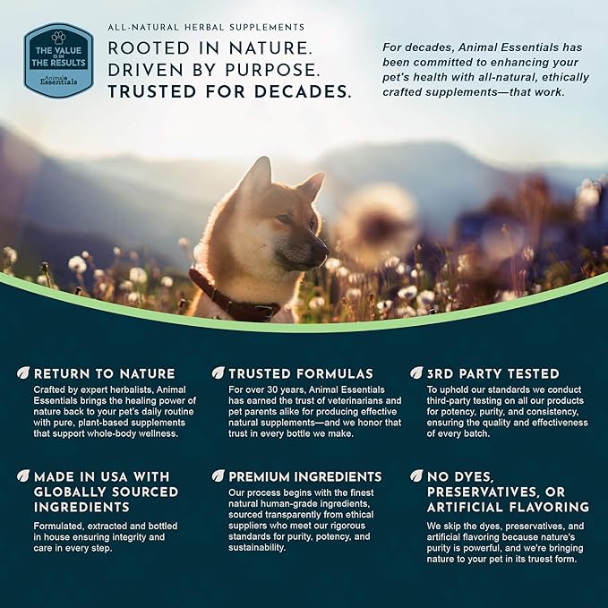 Animal Essentials Liver Defense for Dogs & Cats - Liver Support, Milk Thistle, Dandelion, Liquid Supplement, Detox Blend, Liver Cleanser - 2 Fl Oz