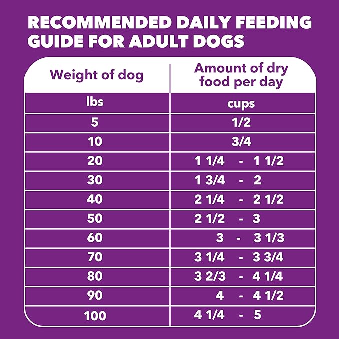 IAMS Advanced Health Skin & Coat Adult Dry Dog Food Chicken and Salmon Recipe, 4.5 lb. Bag