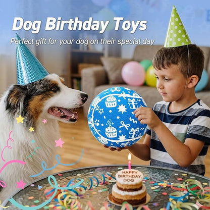 QDAN Dog Birthday Gift: Dog Birthday Toy 9.5" Big Giant Tennis Ball for Dogs Outdoor Water Play, Large Tennis Balls for Large Medium Dog, Blue