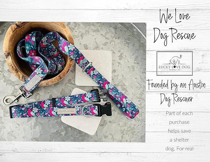Lucky Love Dog - Easy Click Buckle Dog Collar with Leash Set Combo, Durable & Comfortable for Male & Female Dogs, Pet Collar for Small Dogs, Secure Fit - Carriebelle Martingale Combo, Small