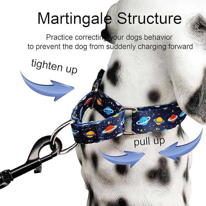 Martingale Dog Collars with Buckle No Slip Training Boy Dog Collar for Medium Dogs (Blue Space, Medium)