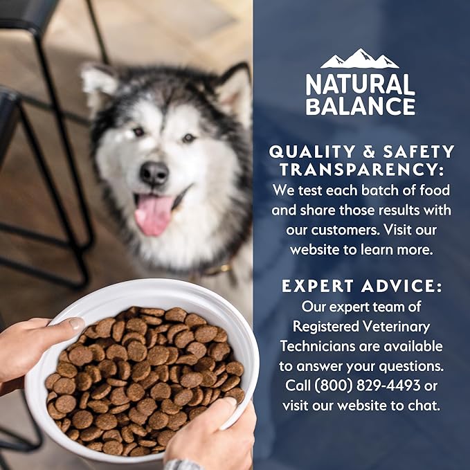 Natural Balance Health Protection Dry Dog Food – Whole Body Health, Easy on Digestion Dog Food Made with Salmon, Brown Rice & Pumpkin for Dogs - 4lbs.