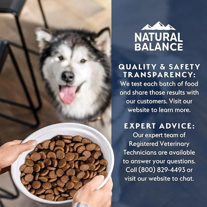 Natural Balance Health Protection Dry Dog Food – Whole Body Health, Easy on Digestion Dog Food Made with Salmon, Brown Rice & Pumpkin for Dogs - 22lbs.
