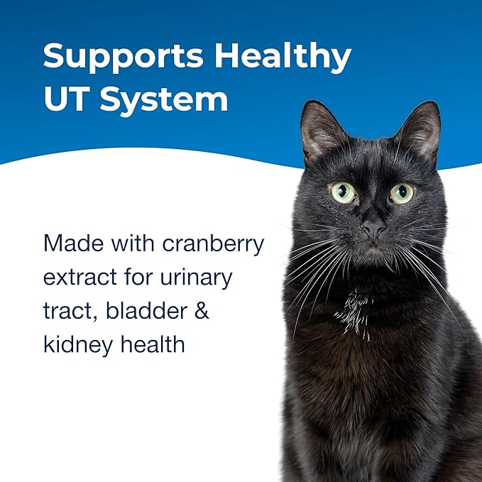PetAg UT Solution Gel Supplement for Cats - 3.5 oz, Pack of 2 - Supports a Healthy Urinary Tract for Cats 6 Months and Older