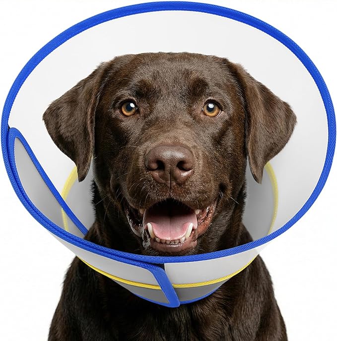 Queenmore Dog Cone - Soft Cone for Dogs to Stop Licking Transparent Elizabeth Recovery Collar for Large Dog Flexible Plastic Cones for Dogs After Surgery, Normal Eating and Drinking, Blue Large