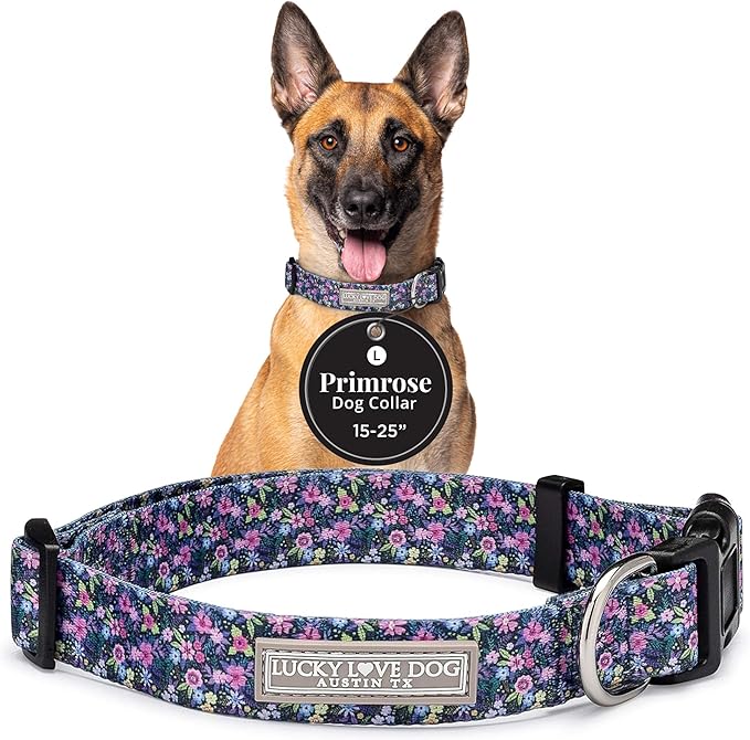 Lucky Love Dog - Adjustable Dog Collar with Easy Click Buckle for Large Ones, Durable, & Comfortable for Male & Female Dogs, Pet Collar for Puppies & Adult Dogs - Primrose, Large