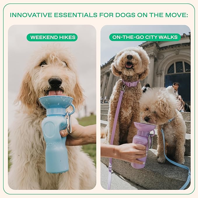 Springer Dog Water Bottle | Portable Travel Water Bottle Dispenser for Dogs - As Seen on Shark Tank | Patented, Leak-Proof Bottles Fill Bowl with Water - Ideal for Walking | BPA-Free 22oz Lilac