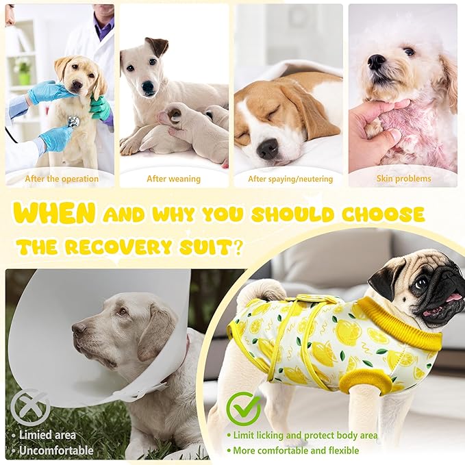 Dog Surgery Recovery Suit, Abdominal Surgical Suit for Male Female Dog Post Spay Neuter, Breathable Pet Onesie E-Collar & Cone Alternative, Surgery Shirt to Prevent Licking, Yellow, X-Small