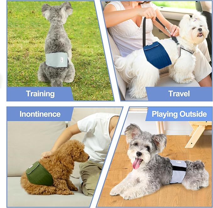 5 Pack Dog Diapers Male Reusable, Premium Belly Bands for Dogs, High Absorbing Male Dog Pee Wraps for Doggie in Incontinence or Excitable Urination Green M