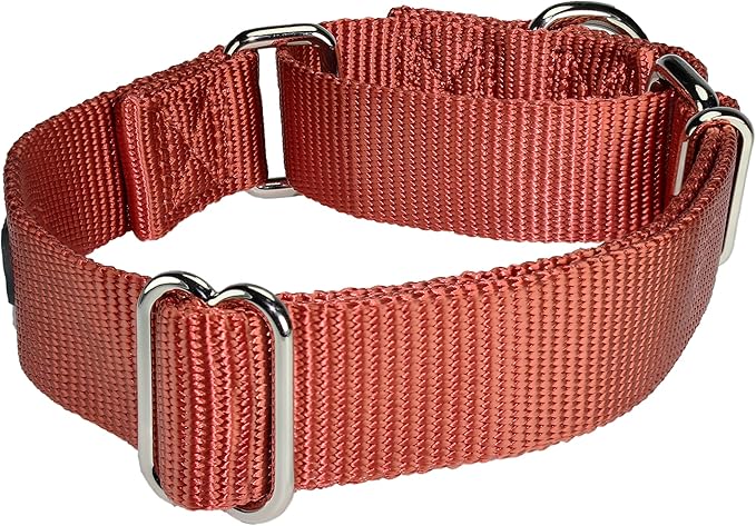 Mikivery Martingale Dog Collar Nylon Adjustable and Safety Training Colourful Comfortable Metal Buckle Pet Collars for Small Medium and Large Dogs(Brick Red,L)