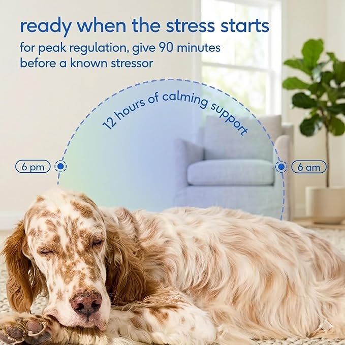 Native Pet Advanced Calming Chews for Dogs Large Breed - Anxiety Relief, Stress, Separation & Sleep Support with Melatonin for Dogs, Hydrolyzed Casein, Valerian Root & L-Tryptophan - 30 Days Supply