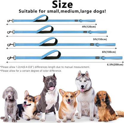 Dog Leash 6.5ft Long, Double Handle Dog Leash for Safety Control Training, Heavy Duty Dog Leads with Traffic Padded Handles, Reflective Leashes for Small Medium Large Dogs(6.5ft, Sky Blue)