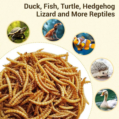 Dried Mealworms, High-Protein Bulk Mealworms 22Lbs, 100% Non-GMO Mealworm Treats for Birds, Chickens, Turtles, Fish, Hamsters and Hedgehogs All Natural Animal Feed