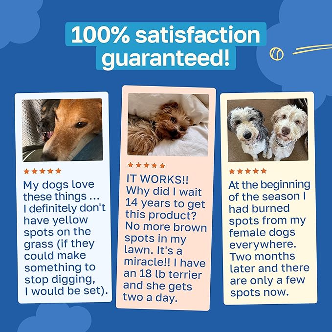 Happy Paws Lawn Saver Supplement, Dog Probiotics to Help Grass Stay Green & Prevent Lawn Burn, Digestive Health Support with Antioxidants & Fiber, Vegan Chicken Flavor, Non GMO, 100 Soft Chews