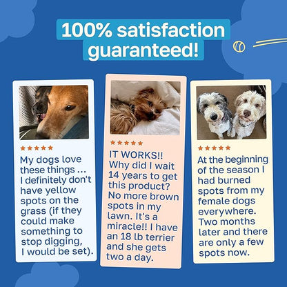Happy Paws Lawn Saver Supplement, Dog Probiotics to Help Grass Stay Green & Prevent Lawn Burn, Digestive Health Support with Antioxidants & Fiber, Vegan Chicken Flavor, Non GMO, 100 Soft Chews