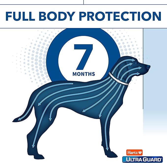 Hartz UltraGuard Plus Flea & Tick Collar for Dogs and Puppies, 7 Month Flea and Tick Prevention and Protection Per Collar, Reflective Orange, up to 22 Inch Neck (Pack of 2)
