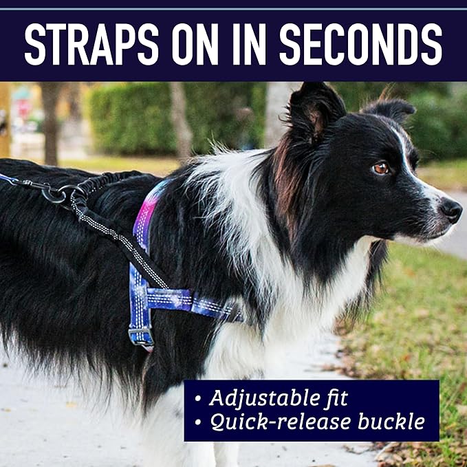 Leash Boss No Pull Dog Harness, Easy Walk for Small, Medium, and Large Pets, Reflective with Rear and Front Clip Attachment (Blanket Pattern, Medium)