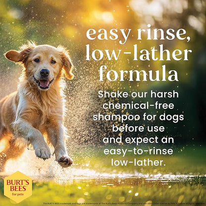 Burt’s Bees for Pets Oatmeal Dog Shampoo with Honey, Soothing Dog Shampoo for Itchy and Sensitive Skin, pH Balanced Formula That Gently Cleans and Moisturizes Dog Coats, 32 Fl Oz