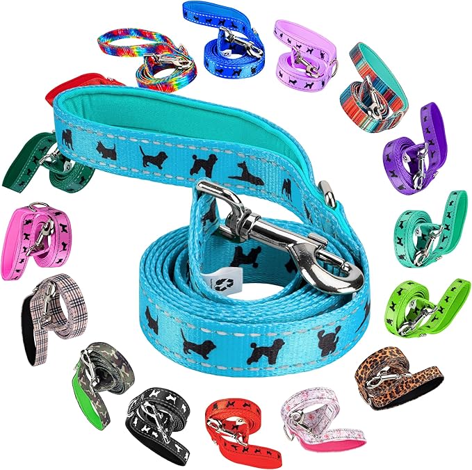 EcoBark Dog Leash - Soft & Reflective Comfort Leashes with Padded Handle - Strong Durable Heavy Duty - Training and Pulling for Small, Medium or Large Dogs (Sky Blue)