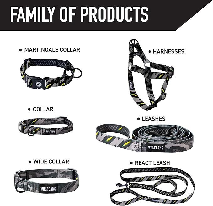 Wolfgang Heavy Duty Dog Leash, Pull-Tested for Walking & Training, DarkSkies Print, Small