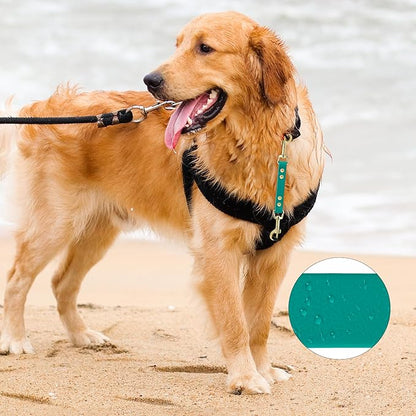 PetBonus Dog Collar Safety Clip, Waterproof Backup Safety Strap for Dog Harness to Prong Collar, Odor Proof Double Ended Clasp Leash Connector for Training Walking (Green)