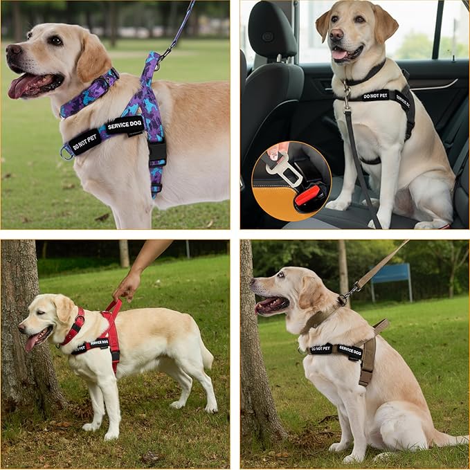 Annchwool No Pull Dog Harness,Heavy Duty Reflective Collar & Leash Set-Leash with Double Handle & Car Seatbelt Clip-Easy Control for Walking Training Medium Large Size Dogs(Black,L)