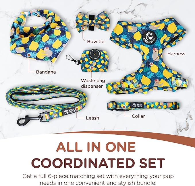 No Pull Harness and Leash Set - 6-in-1 Adjustable Vest Harness and Collars for Medium and Large Dogs. (Lemon, Small)