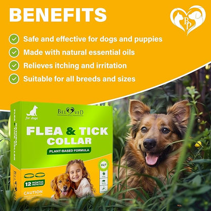 Natural Flea & Tick Repellent Collar for Dogs – Plant-Based, Waterproof, 6-Month Pest Protection – Adjustable, Safe (1 Pack, 2 Count)