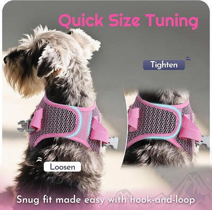 Eagloo Small Dog Harness and Leash Set, Step in Puppy Vest with Breathable Soft Mesh, Walking Reflective Pet Harness for Medium Small Dogs, Pink, M