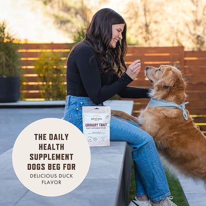 Rocco and Roxie Dog UTI Treatment, Cranberry Supplement for Dogs, Bladder Control, Urinary Tract Support with D-Mannose and Tart Cherry, Incontinence Health Supplements, Dog Treat Soft Chews 60 ct