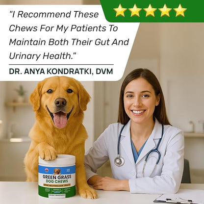 PAWFECTCHEW Green Grass Dog Chews w/Probiotics - Prevent Urine Burning Grass - Dog Pee Grass Spot Saver - Dog Urine Neutralizer for Lawn Treats, UT & Gut Health for Dogs, Lawn Burn from Dog Urine