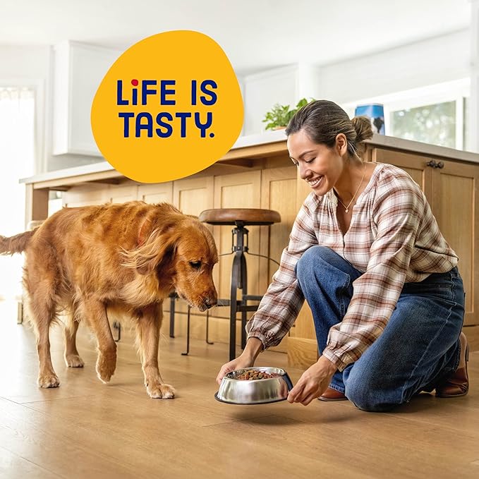 Kibbles 'n Bits Original Dry Dog Food, Savory Beef & Chicken Flavors for Adult Dogs, 3.5 lb. Bag