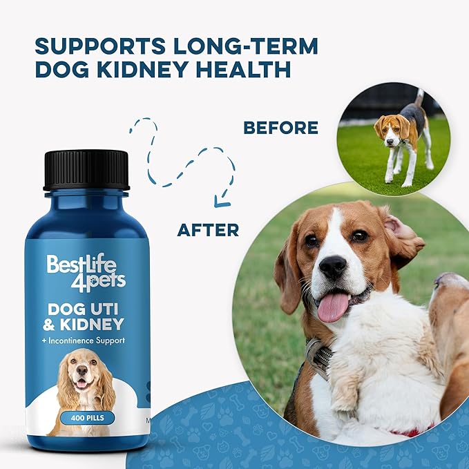Dog UTI Treatment & Kidney Health Formula – Natural Dog Urinary Tract Supplements to Manage Urine Frequency & Leaks – Bladder Control Support for Urinary Incontinence & Renal Health – 400 Tiny Pills