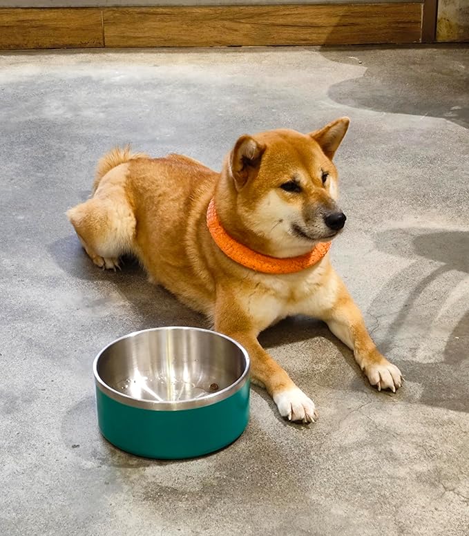 WENBOKMIN Dog Bowl, Stainless Steel Dog Food and Water Bowl with Non Slip Quiet Bottom, Easy to Clean, Dishwasher Safe, 64oz, Deep Green