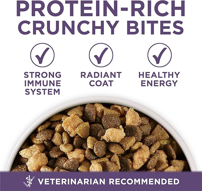 Purina ONE High Protein Dry Senior Dog Food Plus Vibrant Maturity Adult 7 Plus Formula - 31.1 lb. Bag