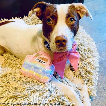 Haute Diggity Dog Chewy Vuiton Handbag Plush Squeaky Dog Toy, Soft Durable Designer-Inspired Stuffed Puppy Chew Toys for Small & Medium Dogs, Machine-Washable (Pink Ombre) Small