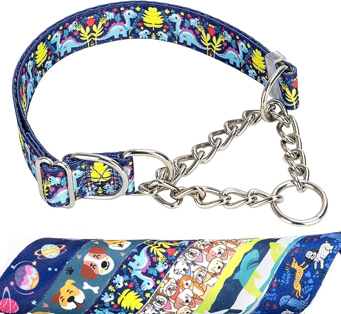Martingale Dog Collar - Adjustable Anti-Pull Training Collar with Safe Choke Chain Design,Dinosaur Pattern for Medium,Large & XL Dogs (Dinosaur Large)