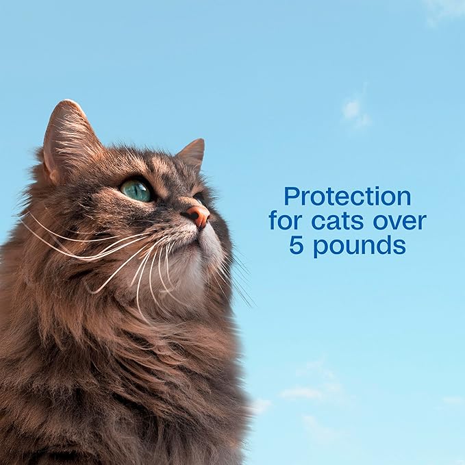 ADAMS Plus Flea and Tick Prevention Spot On for Cats, Kills Fleas & Ticks (Brown Dog/Deer Ticks), Kills and Repels Mosquitoes, Prevents Flea Infestations, 3-Month Supply, 3 Pack