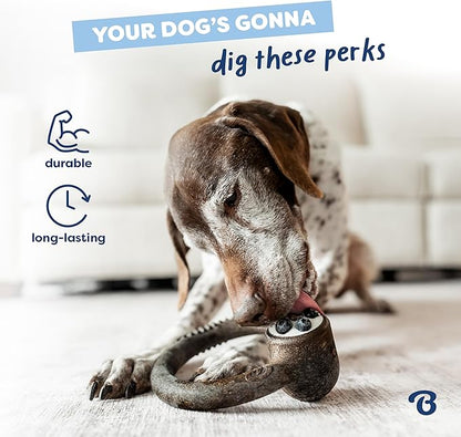 Benebone Ring Durable Dog Chew Toy for Aggressive Chewers – Limited Edition Blueberry Flavor, Medium