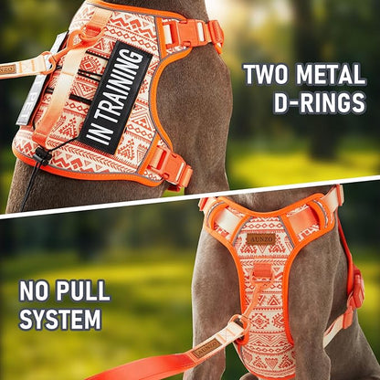 AUNZO Tactical Dog Vest Harness No Pull Easy Walker Pet Harness for Walking Training Hiking for M Sized Dogs with 2 Leash Clips 3 Buckles Reflective Strip Soft Padded Handle, Tribal, French Bulldog