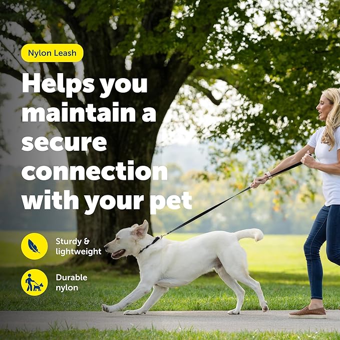PetSafe Nylon Leash - Strong Nylon Dog Leash for Everyday Walks - Durable Pet Leash with Quick Attach Leash Clip - Comfortable Soft Grip - 6 Feet - Red