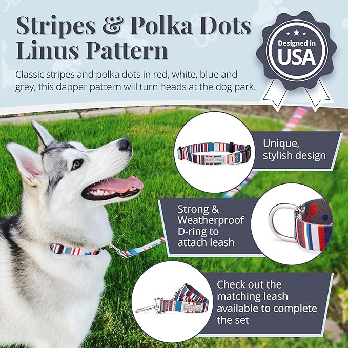 Lucky Love Dog - Adjustable Dog Collar with Easy Click Buckle for Small Dogs, Durable, & Comfortable for Male & Female Dogs, Pet Collar for Puppies & Adult Ones - Linus, XS