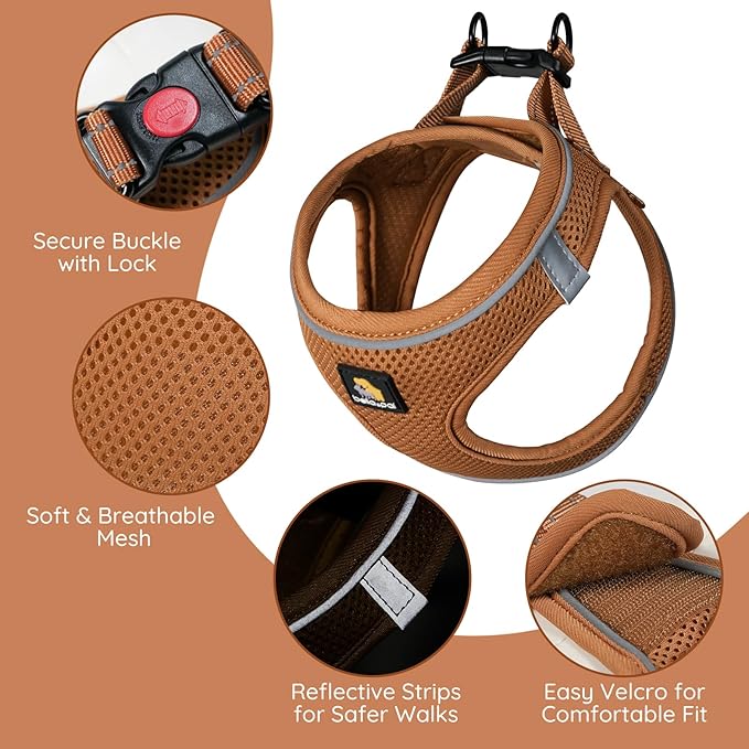 BELLA & PAL Step in Vest Harness for Small and Medium Dogs, No Pull Small Dog Harness with Leash Set, Comfortable Air Mesh Dog Vest Harness with Reflective Strip (Mokka, L)