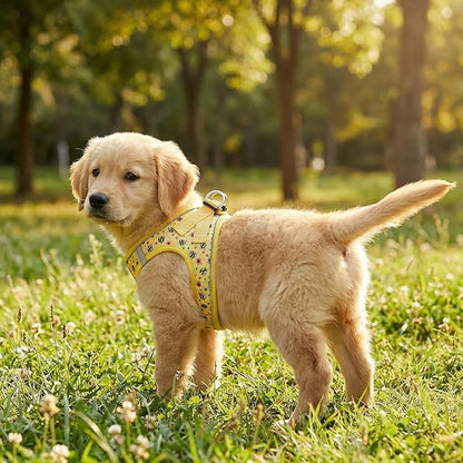 Mihqy Step in Dog Harness and Leash Set, Reflective Adjustable No Pull Dog Harness for Small Medium Dogs Puppy and Cats, Soft Padded Mesh Vest Harnesses for Girl and Boy Pets(Bee,M)