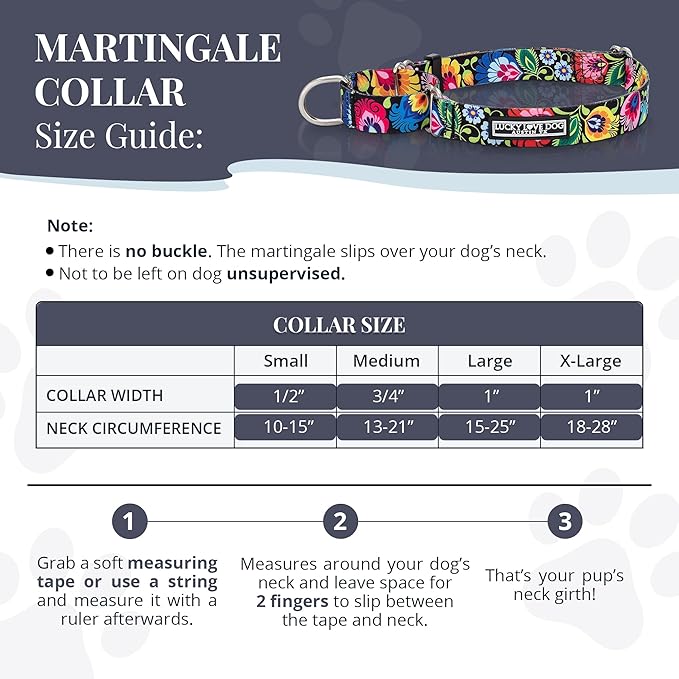 Lucky Love Dog Martingale Dog Collar - Adjustable, No-Slip, Durable, & Soft Webbing Collar for Male and Female Dogs Ideal for Training & Walking - Blackbird, Medium