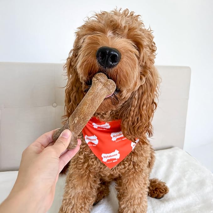 Nylabone Healthy Edibles Natural Dog Chews Long Lasting Roast Beef Flavor Treats for Dogs, Medium/Wolf (2 Count)