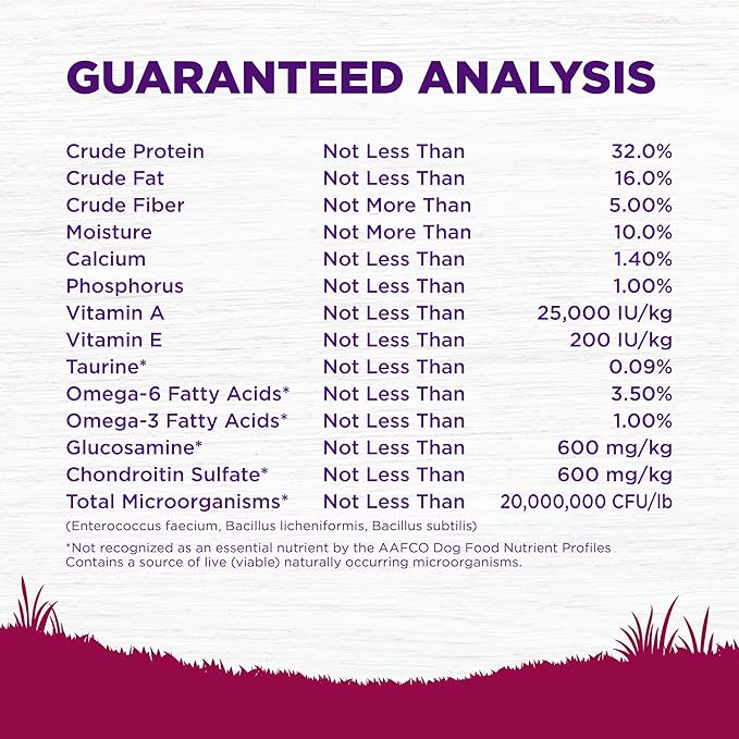 Wellness Complete Health Small Breed Adult Dry Dog Food, Grain Free Kibble, Chicken and Salmon Recipe, 11 lb Bag