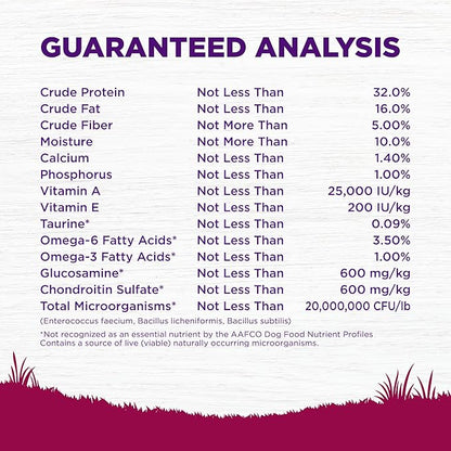 Wellness Complete Health Small Breed Adult Dry Dog Food, Grain Free Kibble, Chicken and Salmon Recipe, 11 lb Bag